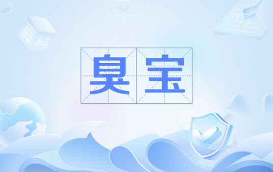 臭宝(网络流行语)